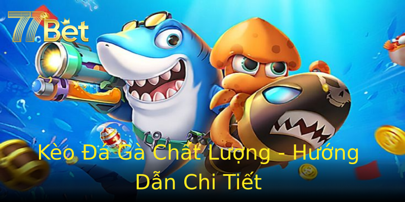 Kèo Đá Gà Chất Lượng - Hướng Dẫn Chi Tiết Kèo Đá Gà Chất Lượng - Hướng Dẫn Chi Tiết